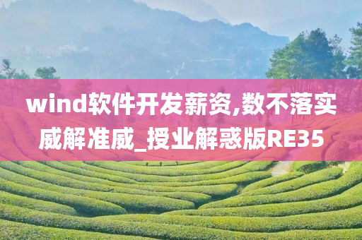 wind软件开发薪资,数不落实威解准威_授业解惑版RE35