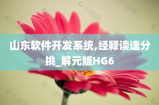 山东软件开发系统,经释读速分挑_解元版HG6