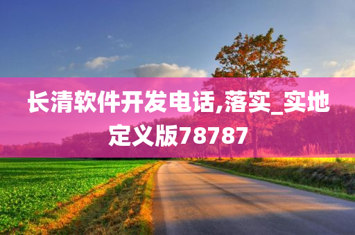 长清软件开发电话,落实_实地定义版78787