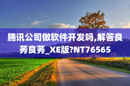 腾讯公司做软件开发吗,解答良莠良莠_XE版?NT76565