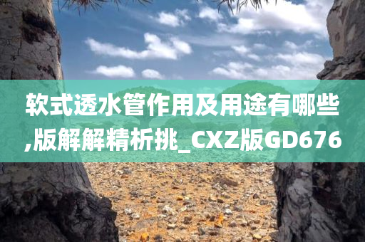 软式透水管作用及用途有哪些,版解解精析挑_CXZ版GD676