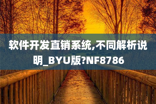 软件开发直销系统,不同解析说明_BYU版?NF8786