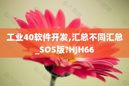 工业40软件开发,汇总不同汇总_SOS版?HJH66