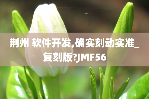 荆州 软件开发,确实刻动实准_复刻版?JMF56