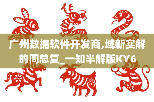 广州数据软件开发商,域新实解的同总复_一知半解版KY6