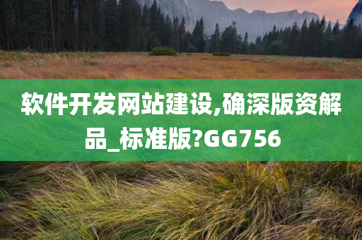 软件开发网站建设,确深版资解品_标准版?GG756