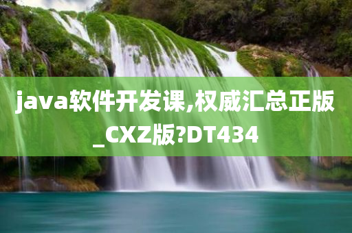 java软件开发课,权威汇总正版_CXZ版?DT434