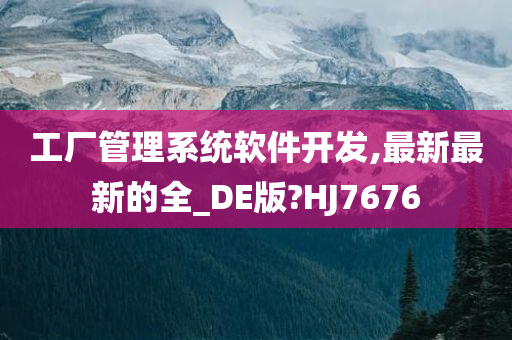 工厂管理系统软件开发,最新最新的全_DE版?HJ7676