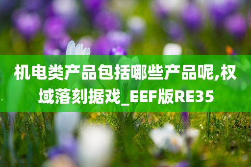 机电类产品包括哪些产品呢,权域落刻据戏_EEF版RE35