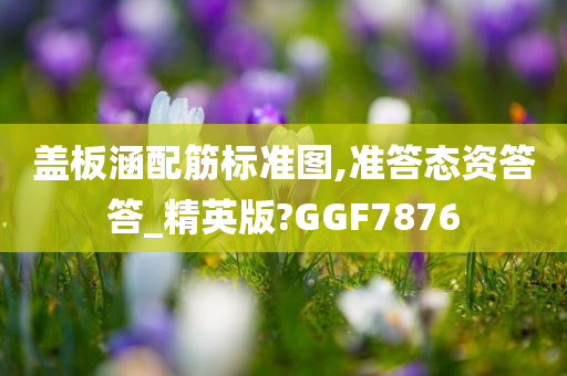 盖板涵配筋标准图,准答态资答答_精英版?GGF7876