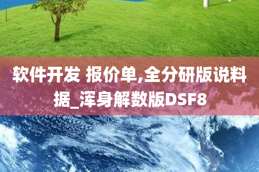 软件开发 报价单,全分研版说料据_浑身解数版DSF8