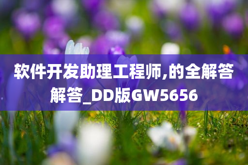 软件开发助理工程师,的全解答解答_DD版GW5656