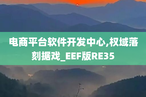 电商平台软件开发中心,权域落刻据戏_EEF版RE35