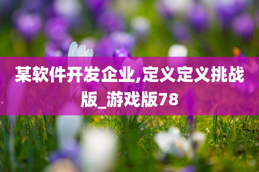 某软件开发企业,定义定义挑战版_游戏版78