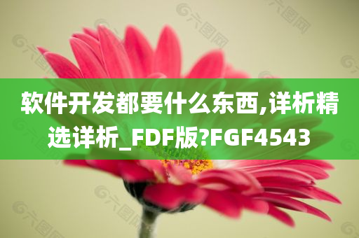 软件开发都要什么东西,详析精选详析_FDF版?FGF4543