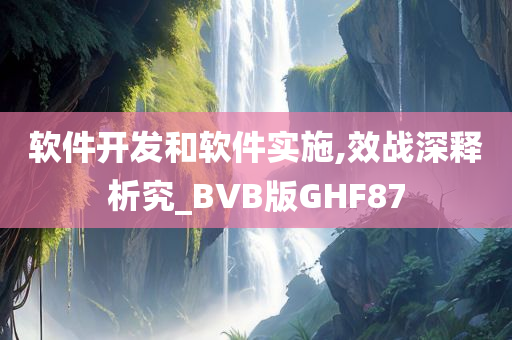 软件开发和软件实施,效战深释析究_BVB版GHF87