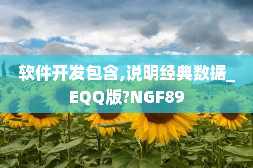 软件开发包含,说明经典数据_EQQ版?NGF89