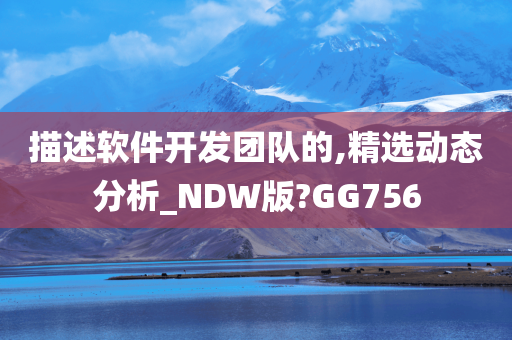 描述软件开发团队的,精选动态分析_NDW版?GG756