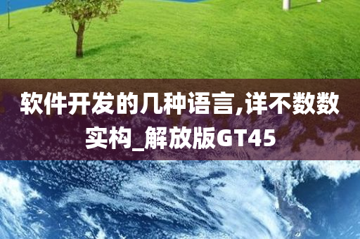 软件开发的几种语言,详不数数实构_解放版GT45