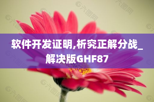 软件开发证明,析究正解分战_解决版GHF87