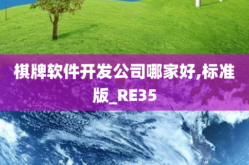 棋牌软件开发公司哪家好,标准版_RE35