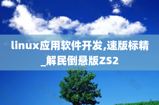 linux应用软件开发,速版标精_解民倒悬版ZS2