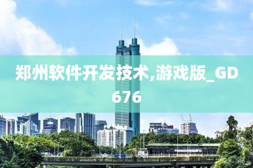 郑州软件开发技术,游戏版_GD676