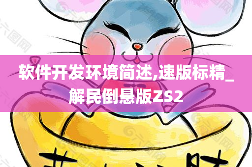 软件开发环境简述,速版标精_解民倒悬版ZS2