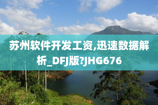 苏州软件开发工资,迅速数据解析_DFJ版?JHG676