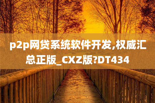 p2p网贷系统软件开发,权威汇总正版_CXZ版?DT434