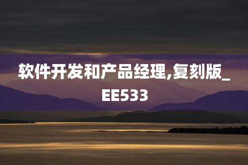 软件开发和产品经理,复刻版_EE533