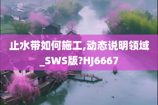 止水带如何施工,动态说明领域_SWS版?HJ6667