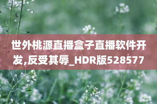 世外桃源直播盒子直播软件开发,反受其辱_HDR版528577