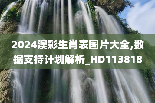 2024澳彩生肖表图片大全,数据支持计划解析_HD113818