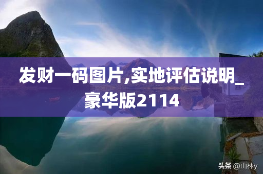 发财一码图片,实地评估说明_豪华版2114