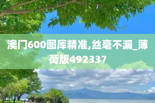 澳门600图库精准,丝毫不漏_薄荷版492337