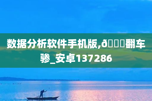 数据分析软件手机版,🐎翻车骖_安卓137286