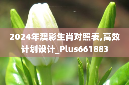 2024年澳彩生肖对照表,高效计划设计_Plus661883