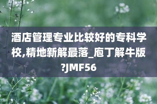 酒店管理专业比较好的专科学校,精地新解最落_庖丁解牛版?JMF56