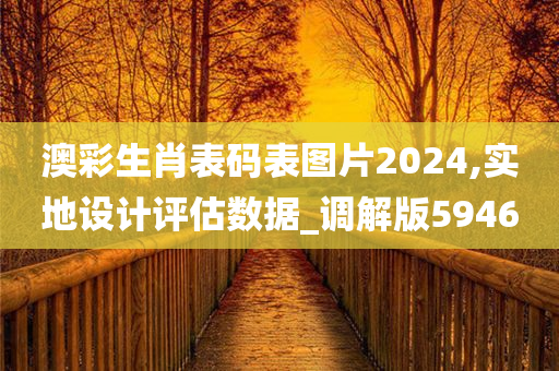 澳彩生肖表码表图片2024,实地设计评估数据_调解版5946