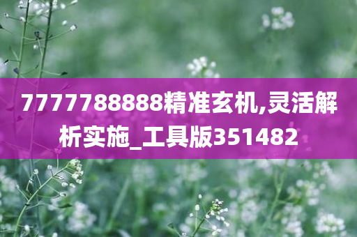 7777788888精准玄机,灵活解析实施_工具版351482