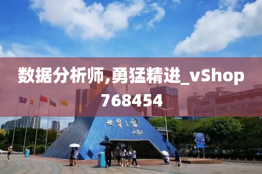 数据分析师,勇猛精进_vShop768454