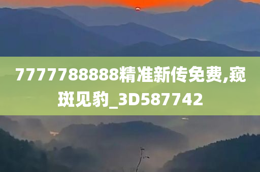 7777788888精准新传免费,窥斑见豹_3D587742