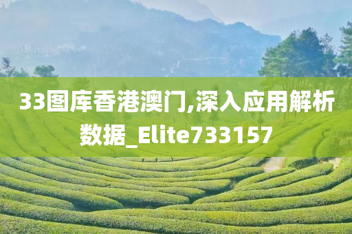 33图库香港澳门,深入应用解析数据_Elite733157