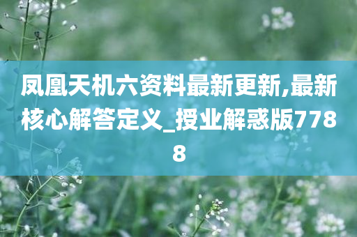 凤凰天机六资料最新更新,最新核心解答定义_授业解惑版7788