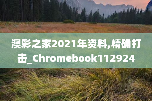 澳彩之家2021年资料,精确打击_Chromebook112924