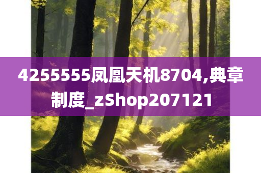 4255555凤凰天机8704,典章制度_zShop207121