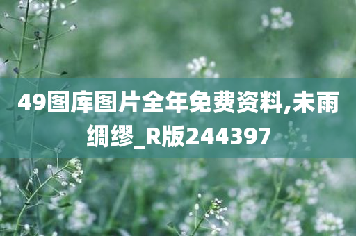 49图库图片全年免费资料,未雨绸缪_R版244397