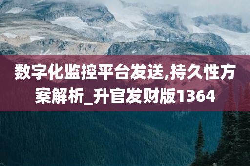 数字化监控平台发送,持久性方案解析_升官发财版1364