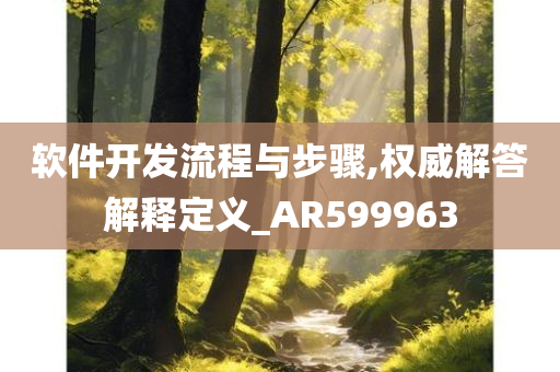 软件开发流程与步骤,权威解答解释定义_AR599963